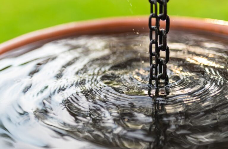 Different Types of Rainwater Harvesting Systems