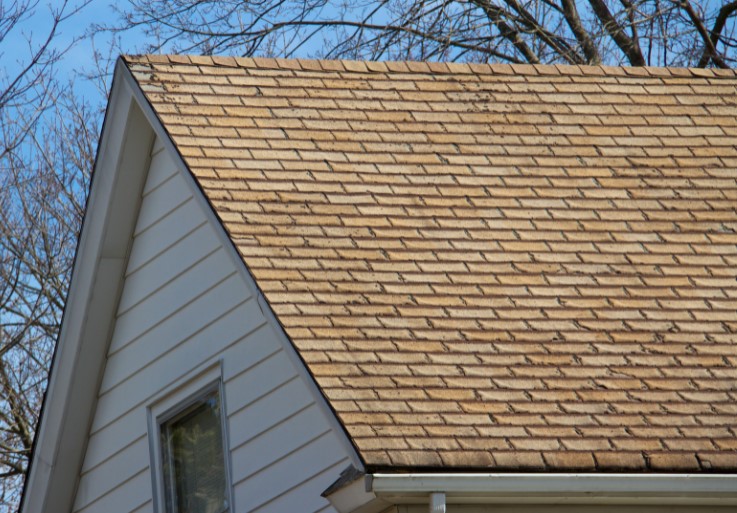 5 Factors To Consider When Choosing The Best Roofing Company For Your Roofing Needs